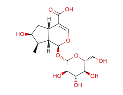 loganic acid