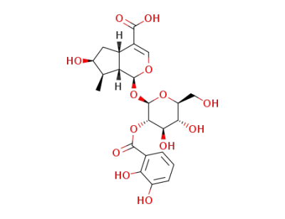 2'-(2'',3''-dihydroxybenzoyl)loganic acid